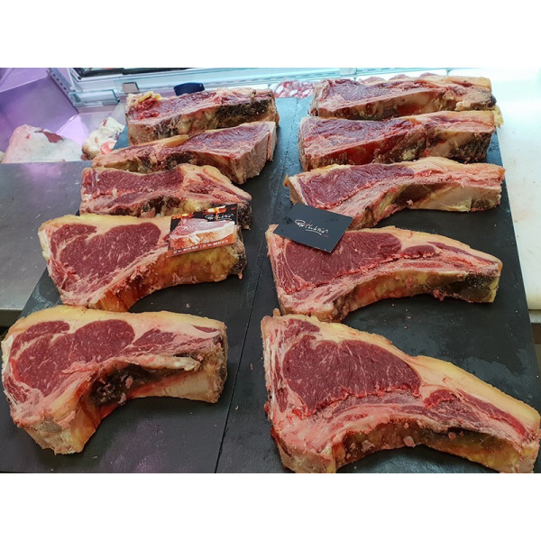 Frisona Norteña