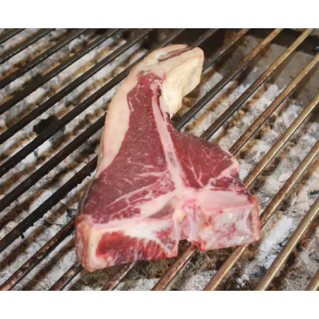 Comprar Tbone Vaca . Vaca Vieja - Pepe Chuletón