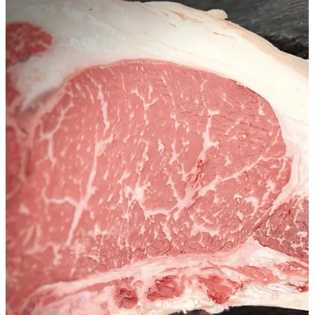 Comprar BLACK ANGUS, LOTE 2 CHULETONES + DELANTAL PEPECHU. al mejor precio en Pepe Chuletón.