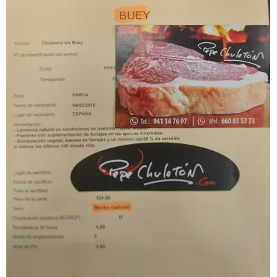 Comprar hamburguesa de Buey Autentico al mejor precio - Pepe Chuletón 2